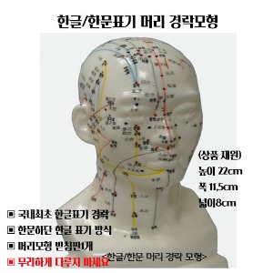 한글/한문 머리 경락모형